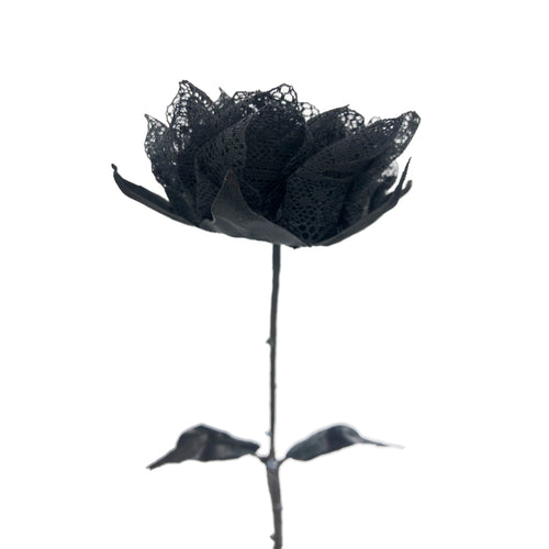 Rosa Negra - Puntilla - Encaje