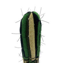 Cargar imagen en el visor de la galería, ¨ Planta de los recuerdos ¨ - Cactus San Pedro