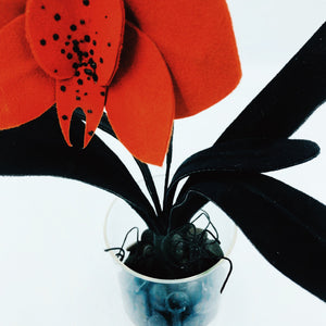 Orquídea teja y negro terciopelo