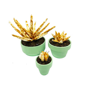 Mini Cactus - S - Óxido de Hierro