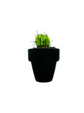 Cargar imagen en el visor de la galería, Mini Cactus - S - Verde Brillo
